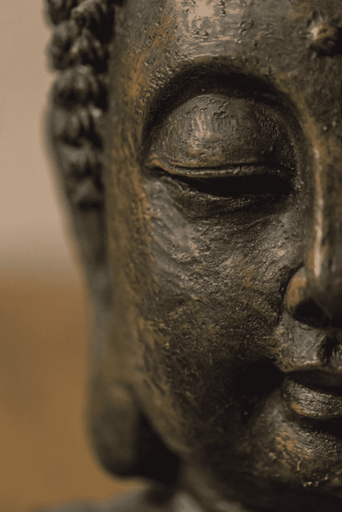 Bouddha introspection