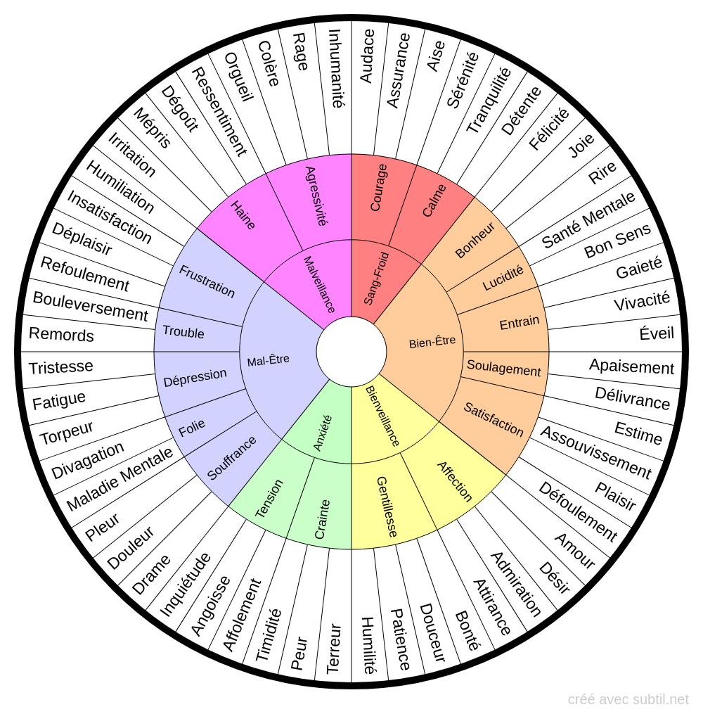 La roue des émotions, un outil pour mieux gérer ses émotions
